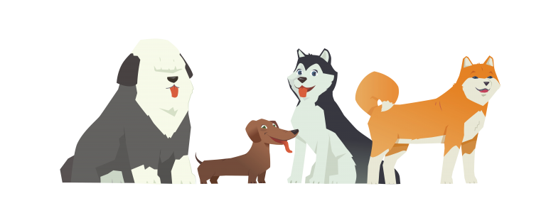 Hidden Fence of Minnesota Dogs